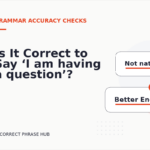 Is It Correct to Say ‘I am having a question’?
