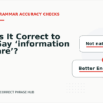 Is It Correct to Say ‘information are’?