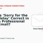 Is ‘Sorry for the delay’ Correct in a Professional Email?
